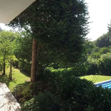 Propriedade Em *