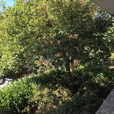 Propriedade Em Hébergement de vacances *